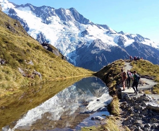 Southern Alps Trek